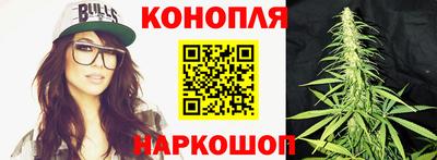 a pvp Дубна
