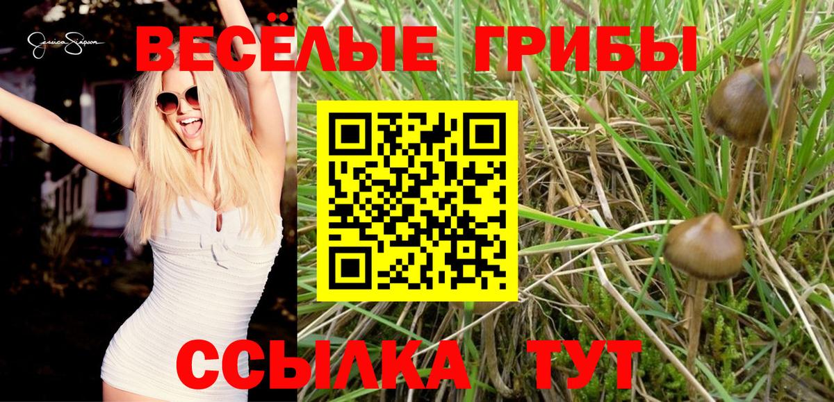 Псилоцибиновые грибы GOLDEN TEACHER  Галлюциногенные грибы Psilocybine cubensis  Вход с VPN  Новосибирск 