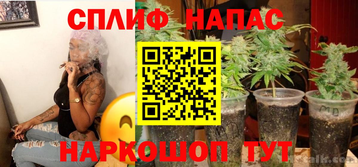 Шишки марихуана White Widow  Каннабис White Widow  Каннабис SATIVA & INDICA  Вход с VPN  Бошки Шишки White Widow  Новосибирск 
